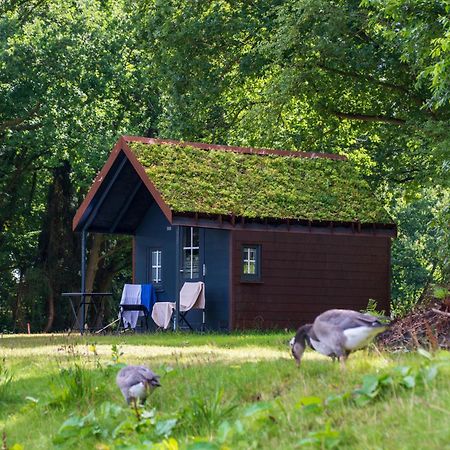 Apartament Fehnkate Papenburg Zewnętrze zdjęcie